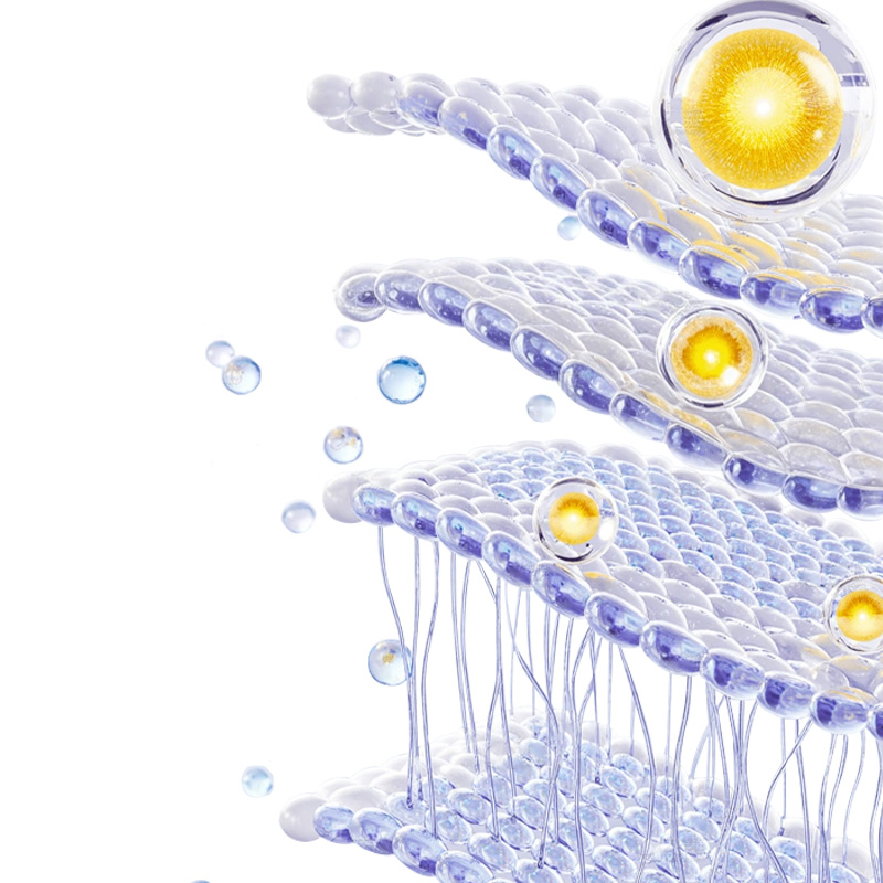 Illustration of recombinant Type III collagen structure in dressing