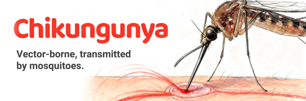 Protect your skin during Chikungunya outbreaks with proper wound care