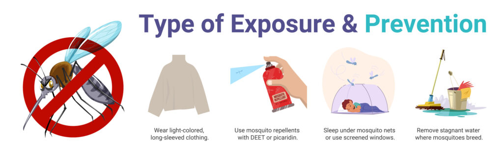 How Chikungunya spreads and how to prevent mosquito bites