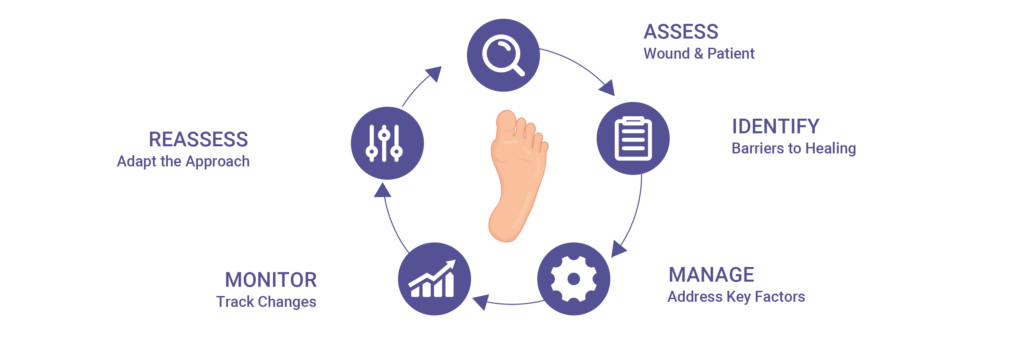 Diabetic foot ulcer assessment diagram highlighting neuropathy, perfusion, and infection risk
